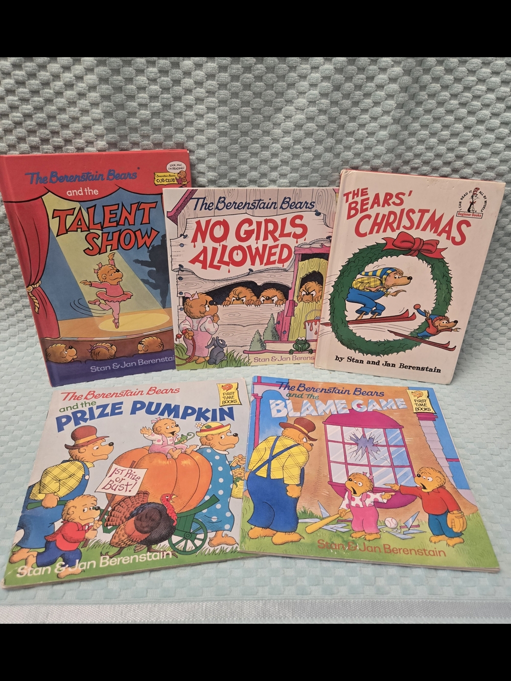 Berenstain Bears Classic Storybook Collection